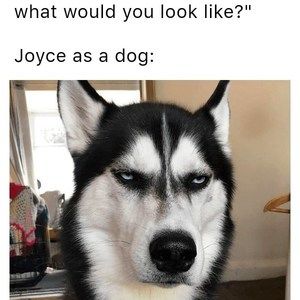 Meet your Posher, Joyce
